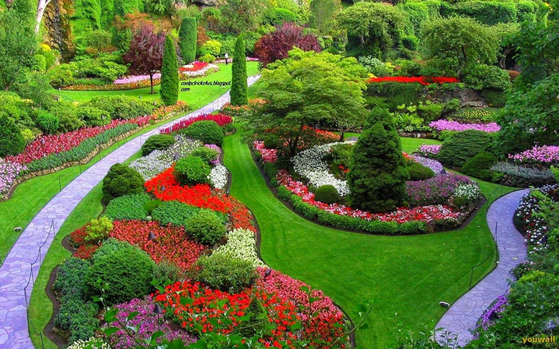 Best Garden Development Services In Uttar Pradesh